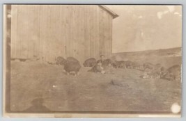 RPPC Man with His Pigs Goat at the Barn c1910 Real Photo Postcard I25 - £4.44 GBP