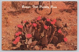 Beaver Tail Prickly Pear Desert Botanical Gardens Papago Park Arizona Postcard - £5.33 GBP