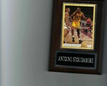 ANTOINE STOUDAMIRE PLAQUE OREGON DUCKS BASKETBALL NCAA  C - $0.01