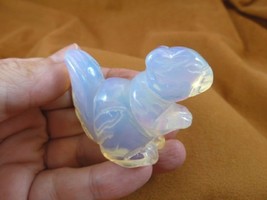 Y-SQU-718) little white albino SQUIRREL gemstone carving figurine love s... - $34.21 CAD
