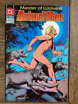 Comic Book Animal Man #39 (1991) - $5.94