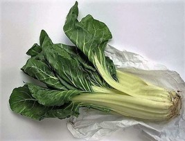 300 Lucullus Swiss Chard Beta Vulgaris White Perpetual Spinach Vegetable... - $12.20