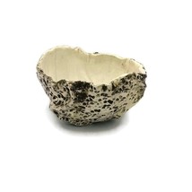 Handmade Ceramic Textured Bowl, Decorative Pottery Bowl For Cactus Or Su... - £54.56 GBP