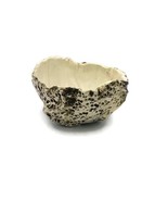 Handmade Ceramic Textured Bowl, Decorative Pottery Bowl For Cactus Or Su... - £55.27 GBP