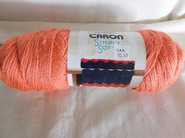 Caron Simply Soft Persimmon dye Lot H97003 - $4.99