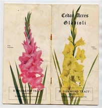 Cedar Acres Gladioli Booklet Hammond Tracy Wenham MA 1920 Bulbs That Bloom - $37.62