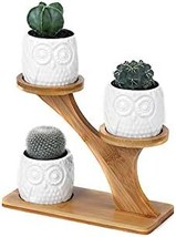 Kipokalor 3 Pcs. Owl Succulent Pots With 3 Tier Bamboo Saucers Stand Holder, - £25.12 GBP