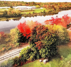 C2020s Maine Postcard Unposted Milo Penquis Valley High School Fall 1 E98H - $10.00