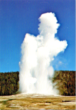 Postcard Old Faithful Geyser Famous Yellowstone National Park 4 x 6 In. Unposted - £3.88 GBP