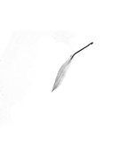 QUEST     2006 Wiper Arm               1139561SAME DAY SHIPPING - $93.82 CAD