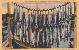 Kingfish Fish Fishing Galveston Texas TX Postcard E08 - £3.73 GBP