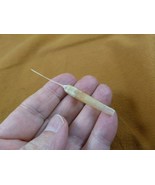 (w32-10) North American Porcupine tail quill Erethizon dorsatum craft su... - $23.00 CAD