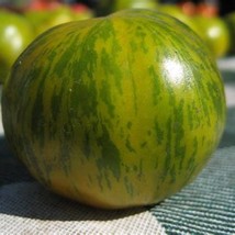 Fresh New Green Zebra Tomato Seeds Grown To Organic Standards Tom Wagner Bred He - £12.26 GBP