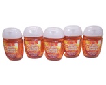 Bath and Body Works Cinnamon Pumpkin Pocket Bac Hand Cleansing Gel 1 oz ... - $12.99