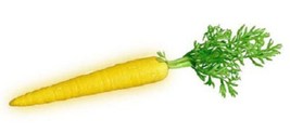 Sale 300 Seeds Solar Yellow Carrot Daucus Carota Vegetable USA - £7.78 GBP