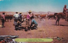 Florence Colorado CO Herd Cattle Cowboys 1958 to Fairfield Iowa Postcard... - $2.99