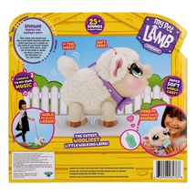 Item image 8