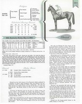 1904 - ELWOOD - Kentucky Derby Pedigree, Career Highlights &amp; Race Chart - £15.68 GBP