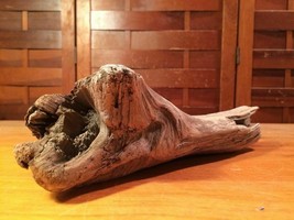 natural Driftwood Art Craft landscape statue aquarium drift wood 10&quot; animal head - £23.64 GBP