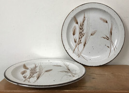 Set Pair Midwinter Stonehenge English Pottery Wild Oats Dinner Plates - £790.52 GBP