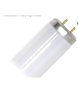 Sylvania 23487 - F30T12/CW/RS/UPC Straight T12 Fluorescent Tube Light Bulb - €21,05 EUR