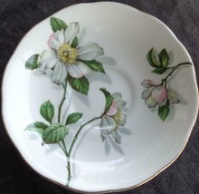 Vintage Royal Standard Saucer - Excellent Condition - Camellia Pattern - Pretty - £9.48 GBP