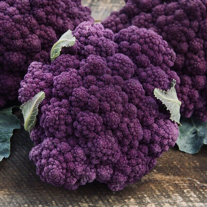 Purple Broccoli Seeds Fresh Harvest New Fresh  - $3.98