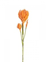 EUROPALMS Dahlienzweig (Eva ),Artificial,Orange - £4.89 GBP