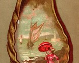 D. Hutinet Victorian Trade Card - Sharless &amp; Sons Importers Philadelphia... - $19.75
