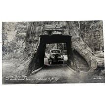 Vintage Real Photo Postcard Chandelier Drive Through Tree Underwood Park... - $7.91
