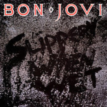 Bon Jovi (Slippery When Wet) - £3.18 GBP