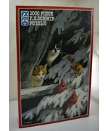 F.X. Schmid Wild Wings Birdwatchers Puzzle - 1000 Pieces 26.5 x 17.25 Ne... - £12.72 GBP