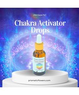 Chakra Activator Drops - $30.00