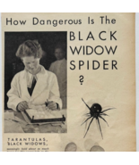 1936 Popular Science Paramount Movie Advertisement Black Widow Spider E90E3 - €21,47 EUR