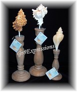 SEASIDE COLLECTION~SET of 3 DECORATIVE SEASHELL FINIALS - $19.95