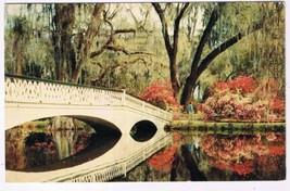 South Carolina Postcard Charleston Magnolia Gardens - $2.96