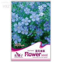 Beautiful Flower Blue Flax Seeds Original Pack 30 seeds balcony potted bonsai pl - £5.49 GBP