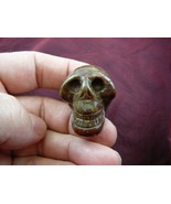 (HH138-B) HUMAN SKULL GREEN BROWN JASPER carved stone I love skulls gems... - $426.79 MXN