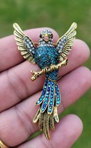 Parrot brooch vintage look celebrity broach gold silver plated lady pin k37 new - £14.51 GBP