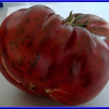 Dark Red Beefsteak Tomato Seeds US Seller Fast Shipping - $6.48