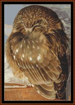 Sleepy Owl ~~ counted cross stitch pattern PDF - £15.71 GBP