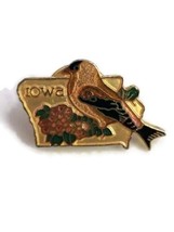 Vintage Iowa State Bird Flower Lapel Pin American Goldfinch Wild Prairie Rose - £14.26 GBP