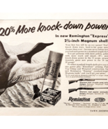 1955 Remington Express Shotgun Shells Advertisement Vintage Hunting Ammo... - $34.03 CAD