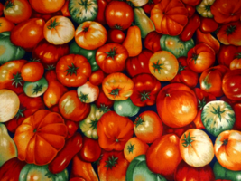 Joan Messmore Cranston Cotton Fabric Tomato Harvest 43&quot; W X 27.5&quot; long - £5.52 GBP