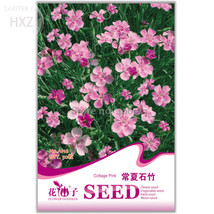 Colorful Pink Seeds Dianthus Chinensis Flower Seeds 50 Seeds Balcony Patio Potte - $9.97