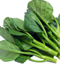 SR12Store 200 Chinese Kale Seeds Kailaan Chinese Broccoli Gai Lan Choi Vegetable - £6.79 GBP