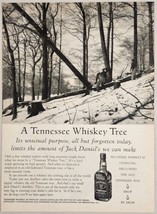 1958 Print Ad Jack Daniel's Tennessee Sour Mash Whiskey Tree on Snowy Hill - $17.65