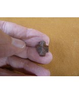 (CR591-2) mini 1/2&quot; Fairy Stone CHRISTIAN CROSS oiled Staurolite Crystal... - $12.99