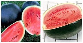 30 Seeds Black Diamond Watermelon Seeds Fresh Garden Seeds FREE SHIP - £16.71 GBP