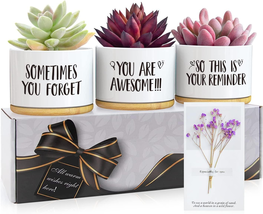 Birthday Gifts for Women Who Have Everything, Gardening Gifts for Women, Womens - £14.00 GBP